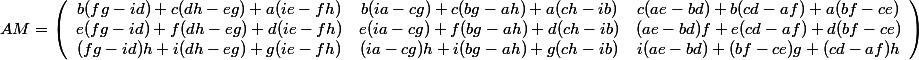  AM = \left( \begin{array}{ccc} b (f g-i d)+c (d h-e g)+a (i e-f h) & b (i a-c g)+c (b g-a h)+a (c h-i b) & c (a e-b d)+b (c d-a f)+a (b f-c e) \\ e (f g-i d)+f (d h-e g)+d (i e-f h) & e (i a-c g)+f (b g-a h)+d (c h-i b) & (a e-b d) f+e (c d-a f)+d (b f-c e) \\ (f g-i d) h+i (d h-e g)+g (i e-f h) & (i a-c g) h+i (b g-a h)+g (c h-i b) & i (a e-b d)+(b f-c e) g+(c d-a f) h \end{array} \right)
 \\ 